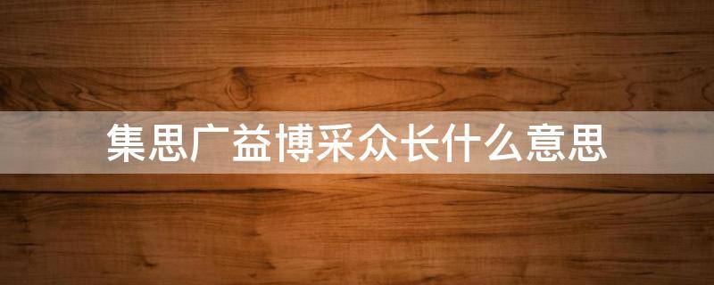 集思广益博采众长什么意思（集思广益,博采众长什么意思）