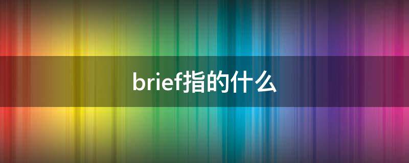 brief指的什么 brief是什么意思中文翻译
