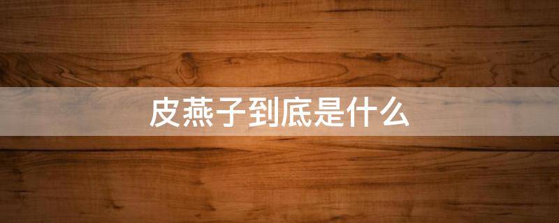 皮燕子到底是什么（皮燕子到底是什么部位）
