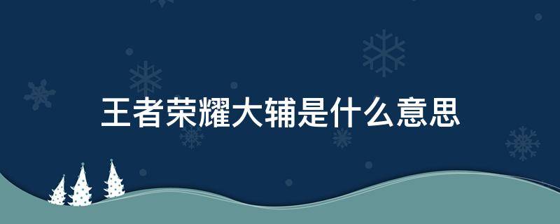 王者荣耀大辅是什么意思 王者里面的大辅是什么意思