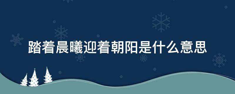 踏着晨曦迎着朝阳是什么意思 踏着晨曦迎接朝阳