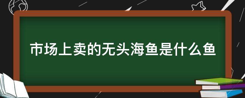 市场上卖的无头海鱼是什么鱼 市面上卖的无头鱼是什么鱼