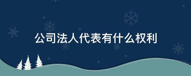 公司法人代表有什么权利 公司的法人有什么权力
