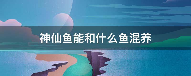 神仙鱼能和什么鱼混养 神仙鱼能与什么鱼混养?