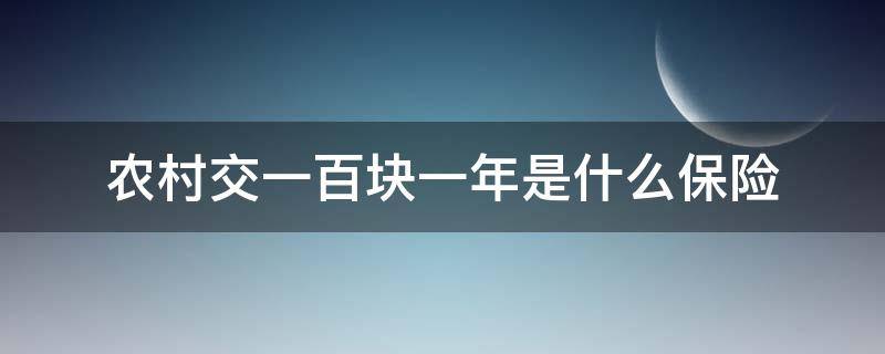 农村交一百块一年是什么保险 农村一年交一百元是什么保险