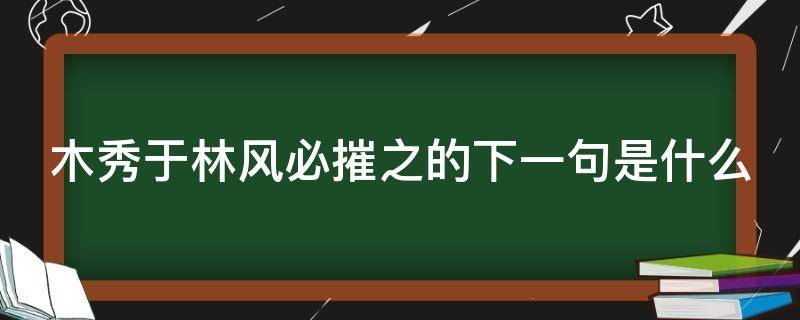 木秀于林风必摧之的下一句是什么（木秀于林风必摧之的下一句是什么意思）