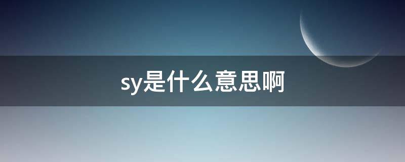 sy是什么意思啊 sky是什么意思啊