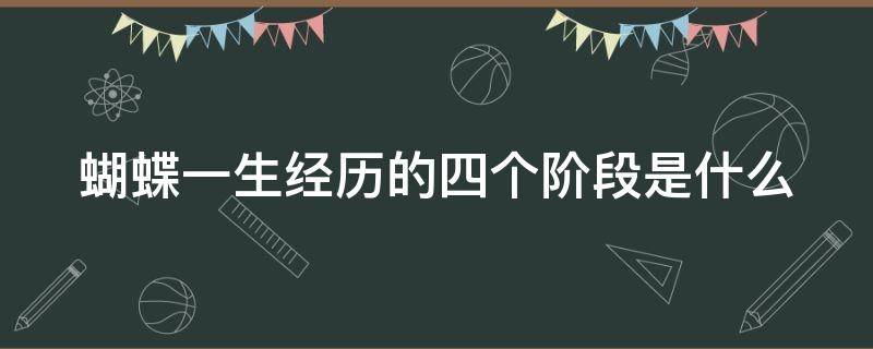 蝴蝶一生经历的四个阶段是什么（蝴蝶一生经历的四个阶段是什么样的）