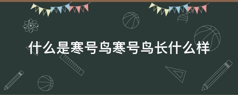 什么是寒号鸟寒号鸟长什么样 寒号鸟是什么样的?