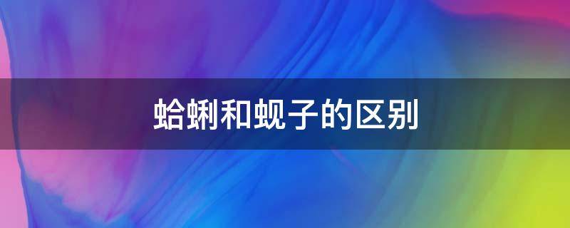蛤蜊和蚬子的区别