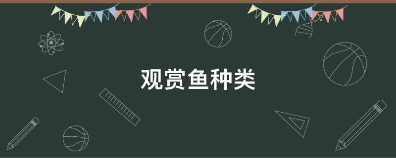 观赏鱼种类 观赏鱼种类大全
