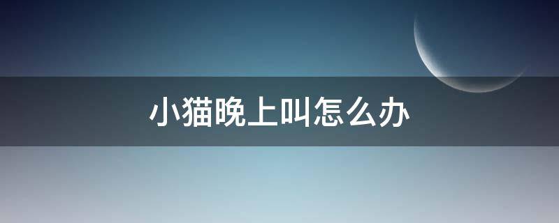 小猫晚上叫怎么办（小猫晚上叫怎么办啊）