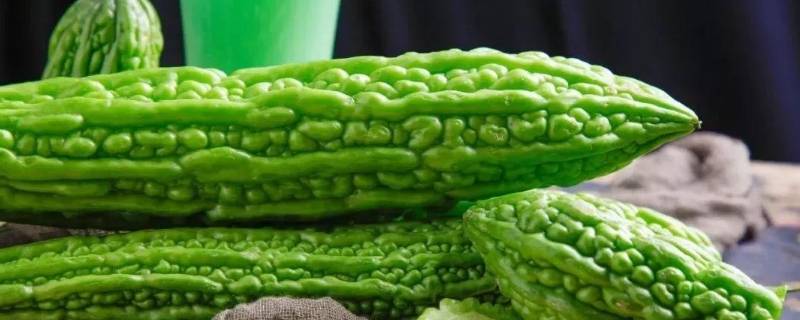 十种蔬菜的名称（十种蔬菜的名称加拼音）