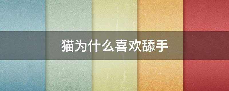 猫为什么喜欢舔手 猫为什么喜欢舔手提袋