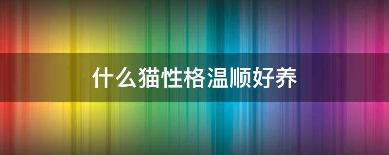 什么猫性格温顺好养