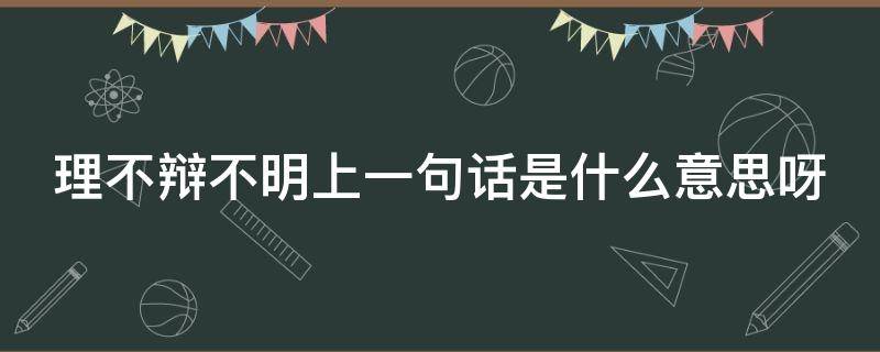 理不辩不明上一句话是什么意思呀 理不辩不明前面一句是什么