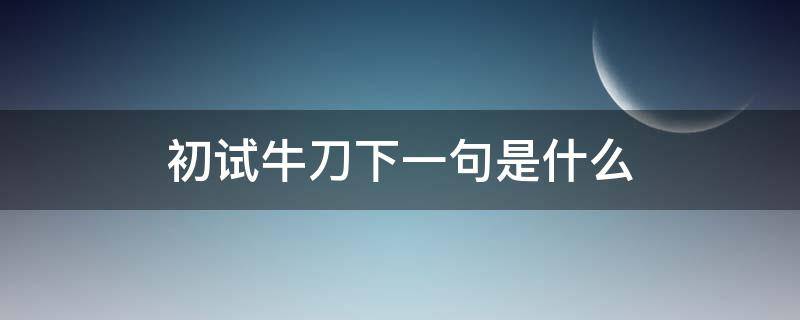 初试牛刀下一句是什么（初试牛刀下一句是什么后可期）
