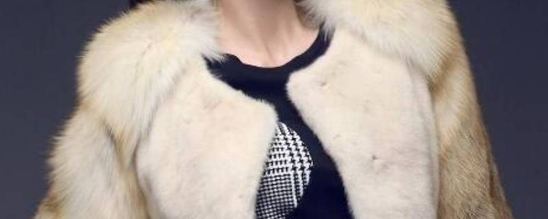 水貂毛如何清洗 水貂毛皮如何清洗