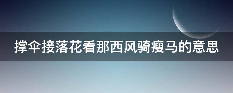 撑伞接落花看那西风骑瘦马的意思（撑伞接落花看那西风骑瘦马是什么话）