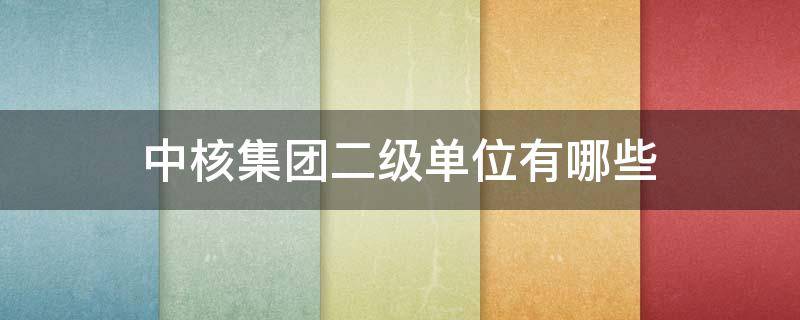 中核集团二级单位有哪些（中核集团二类单位）
