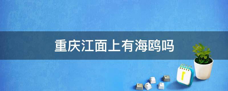 重庆江面上有海鸥吗（重庆江边红嘴鸥）