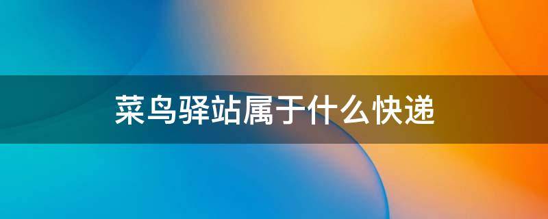 菜鸟驿站属于什么快递 菜鸟驿站什么快递都可以寄吗