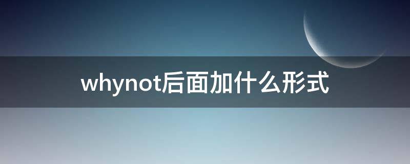 whynot后面加什么形式