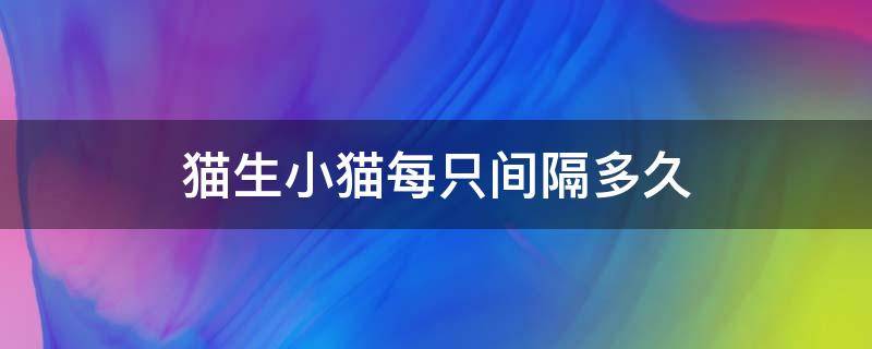 猫生小猫每只间隔多久 猫生小猫每只间隔多久最好