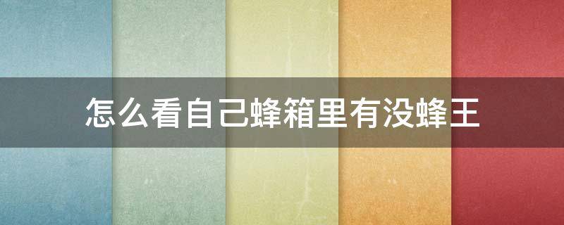 怎么看自己蜂箱里有没蜂王（怎样知道蜂箱有没有王）