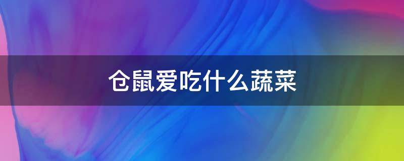 仓鼠爱吃什么蔬菜 仓鼠爱吃什么蔬菜呢