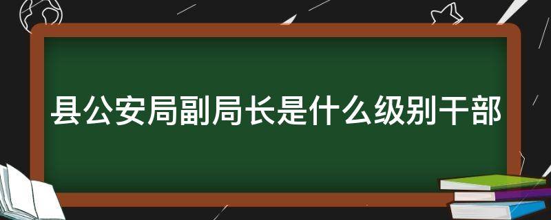 县公安局副局长是什么级别干部 县公安局局长是什么职务级别