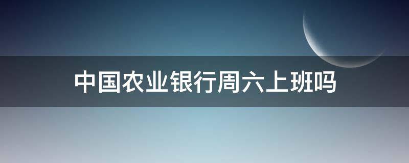 中国农业银行周六上班吗（中国农业银行周六上班吗可以办卡吗）