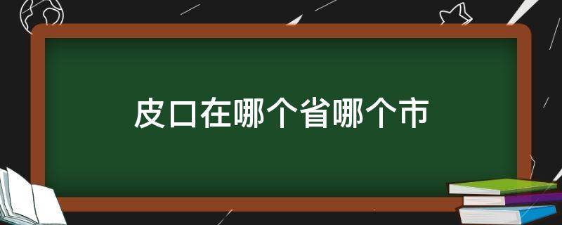 皮口在哪个省哪个市 皮口是县吗