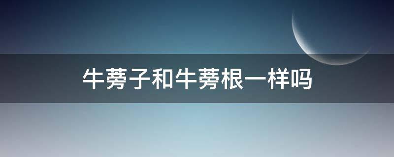 牛蒡子和牛蒡根一样吗（牛蒡子和牛蒡根一样吗图片）