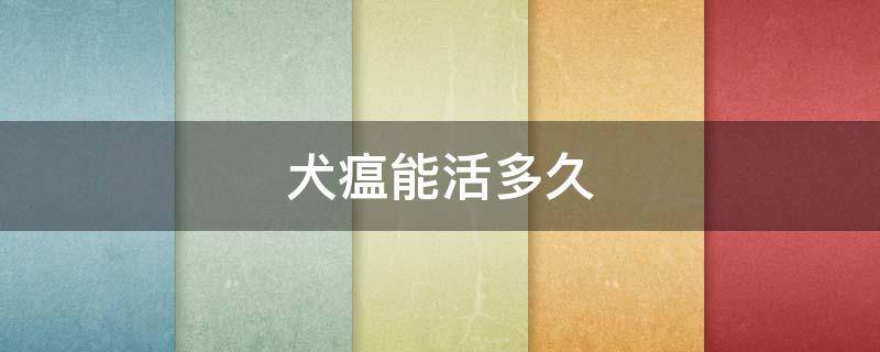 犬瘟能活多久（犬瘟一般能活多久）