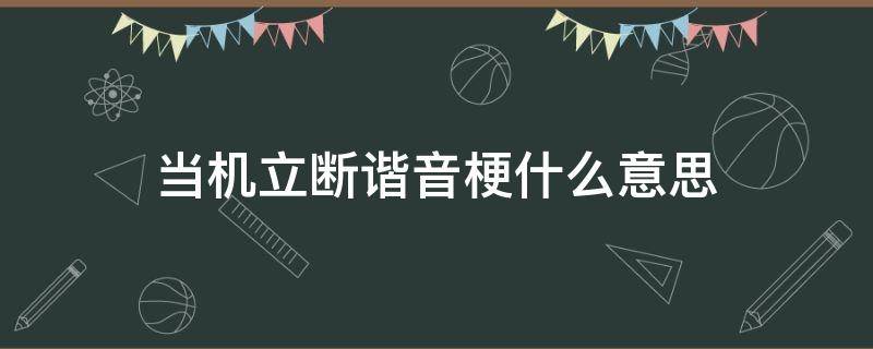 当机立断谐音梗什么意思 当机立断谐音梗有什么好笑的