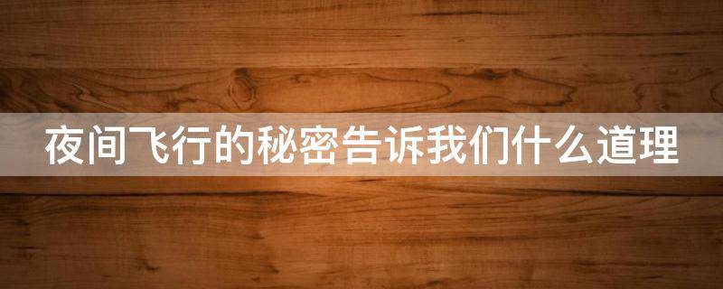 夜间飞行的秘密告诉我们什么道理（夜间飞行的秘密告诉我们什么道理英语）