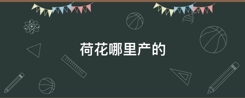 荷花哪里产的（荷花哪里产的烟）