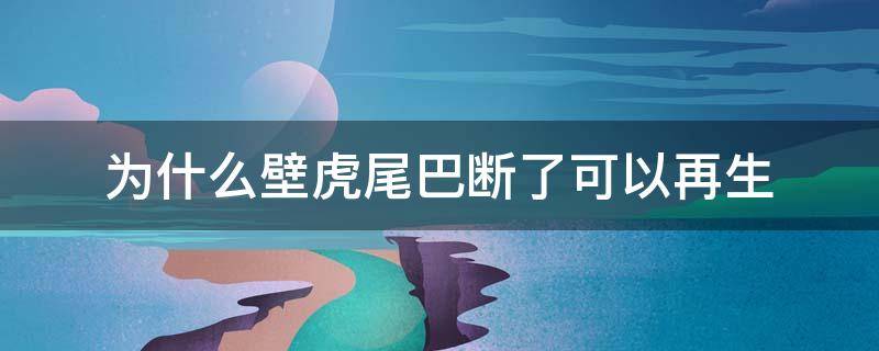 为什么壁虎尾巴断了可以再生 为什么壁虎尾巴断了可以再生,而人不可以