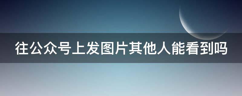 往公众号上发图片其他人能看到吗 公众号可以发别人的图片吗