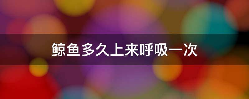 鲸鱼多久上来呼吸一次 鲸鱼吸一口气可以保持多久