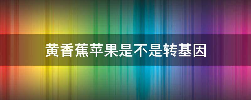 黄香蕉苹果是不是转基因（苹果蕉是转基因吗）