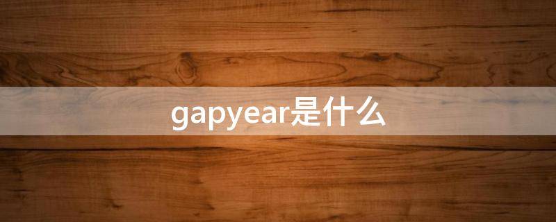 gapyear是什么（gapyear是什么公司）
