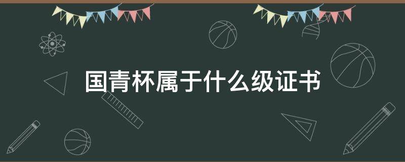 国青杯属于什么级证书（国青杯证书含金量）