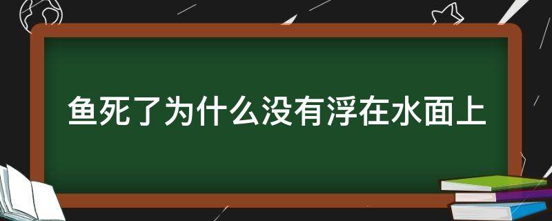 鱼死了为什么没有浮在水面上 鱼死了为什么会浮在水面上