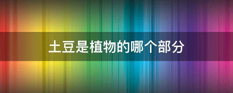 土豆是植物的哪个部分（土豆是属于植物的哪个部位）