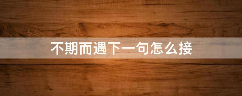 不期而遇下一句怎么接（不期而遇后面怎么接）