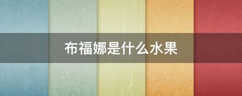 布福娜是什么水果 布福娜是什么水果?好吃吗?