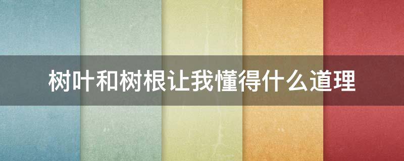 树叶和树根让我懂得什么道理 读了树叶和树根这篇文章你懂得了什么道理