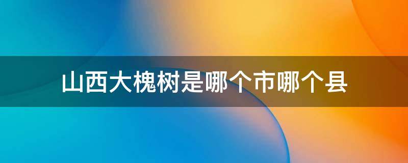 山西大槐树是哪个市哪个县（山西大槐树在哪个市哪个县）